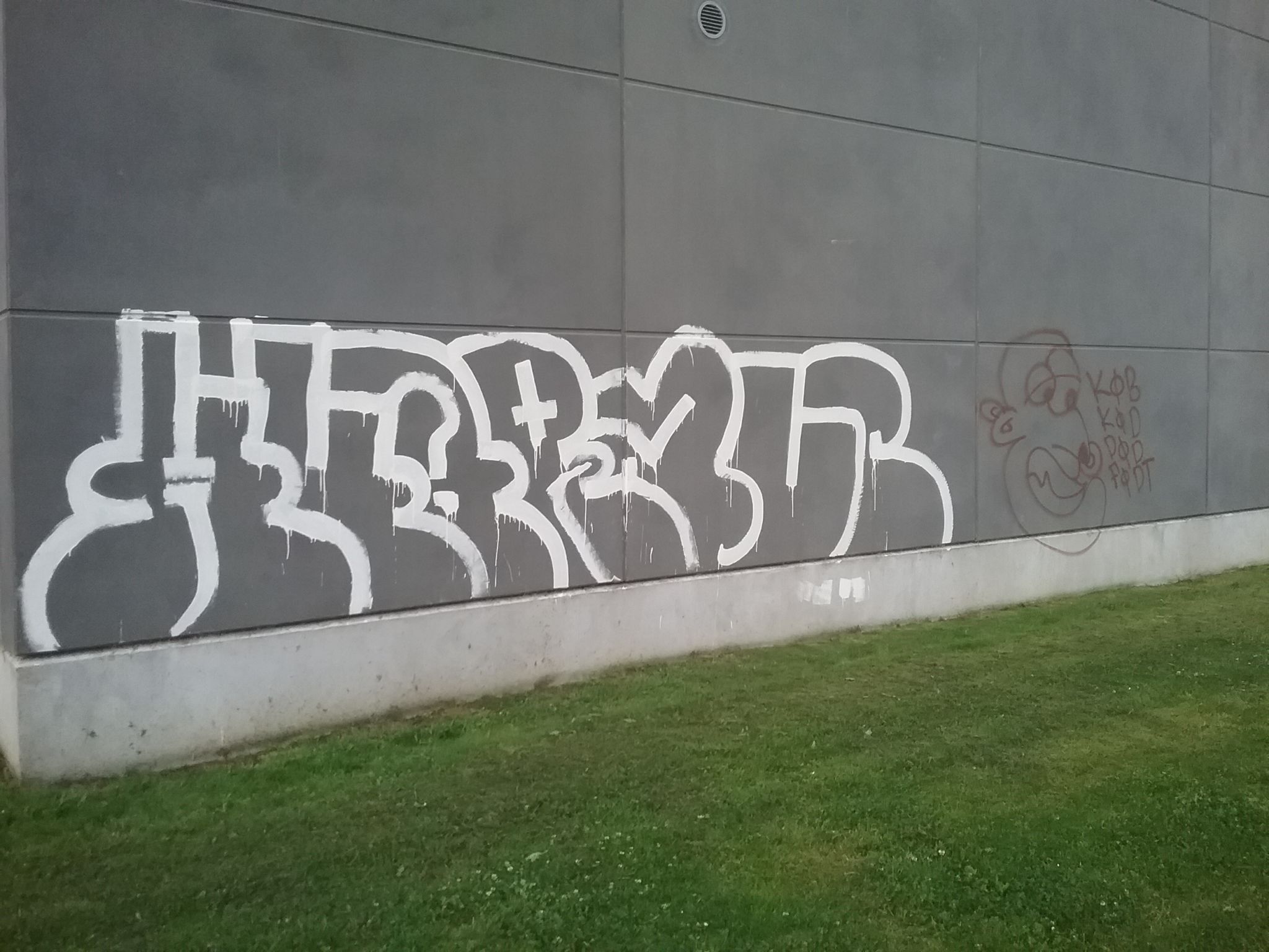 Anti graffitirens